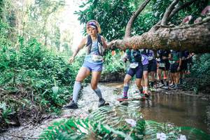 BIB: 
                            <button type="button" onclick="openModal(25468260)" class="btn btn-primary btn-sm float-right btn-popup" data-toggle="modal" data-target=".modal-high-quality">
                        <i class="fas fa-shopping-cart"></i> Add to Cart
                    </button>
                                            <button type="button" onclick="isThisMe(25468260, true)" class="btn btn-success btn-sm float-right btn-popup btn-isme hidden" data-toggle="tooltip" data-placement="bottom" title="นี่คือรูปของคุณใช่ไหม คลิกที่นี่เพื่อเอาเข้าอัลบั้ม">
                        <i class="fas fa-plus"></i> Add to album
                    </button>
                    <button type="button" onclick="isThisMe(25468260, false)" class="btn btn-warning btn-sm float-right btn-popup btn-isnotme hidden">
                        <i class="fas fa-ban"></i> Remove from album
                    </button>